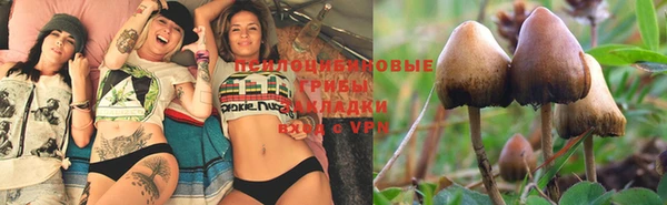 mdpv Верхний Тагил