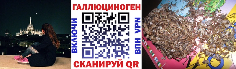 Псилоцибиновые грибы Cubensis  МЕГА маркетплейс  Карталы 
